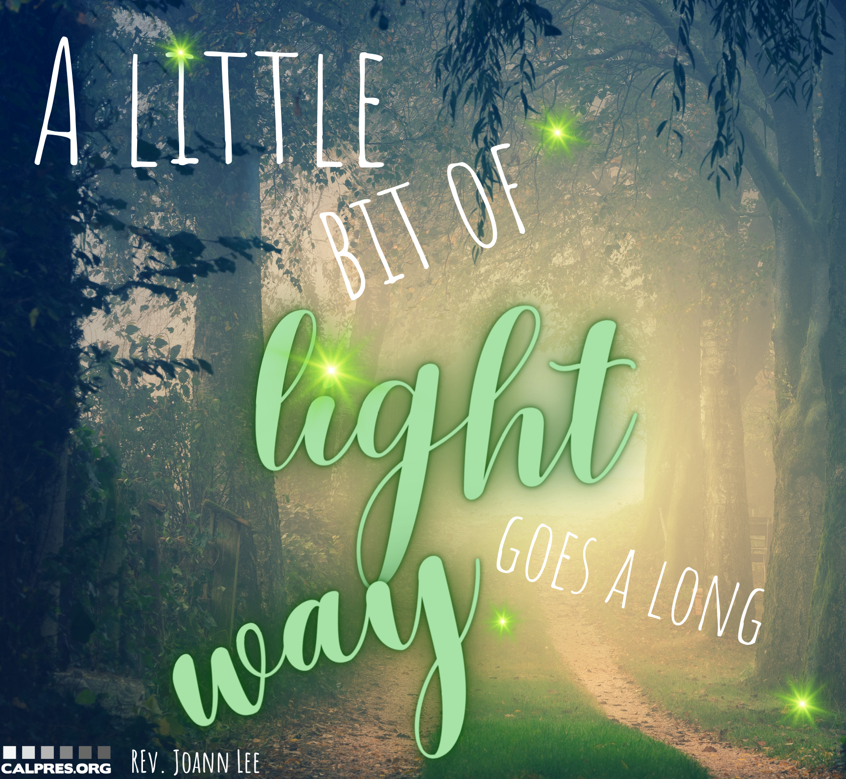 A dark and foggy forest image with the text