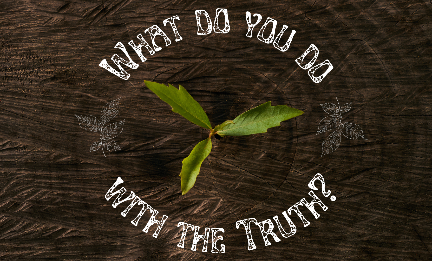 Wooden trunk with a green leaf coming out of it. The text