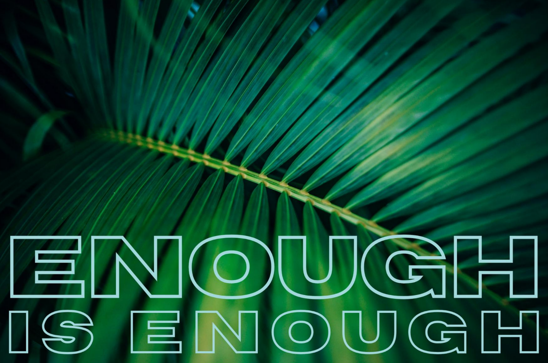 A palm leaf with text that says ‘enough is enough’