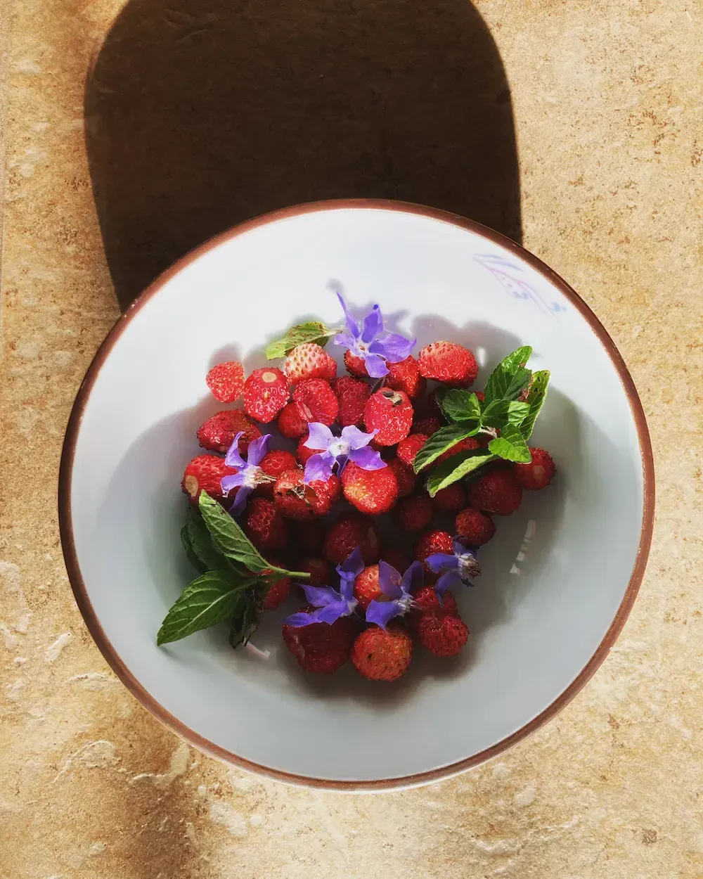 Summer Berries in a Bowl