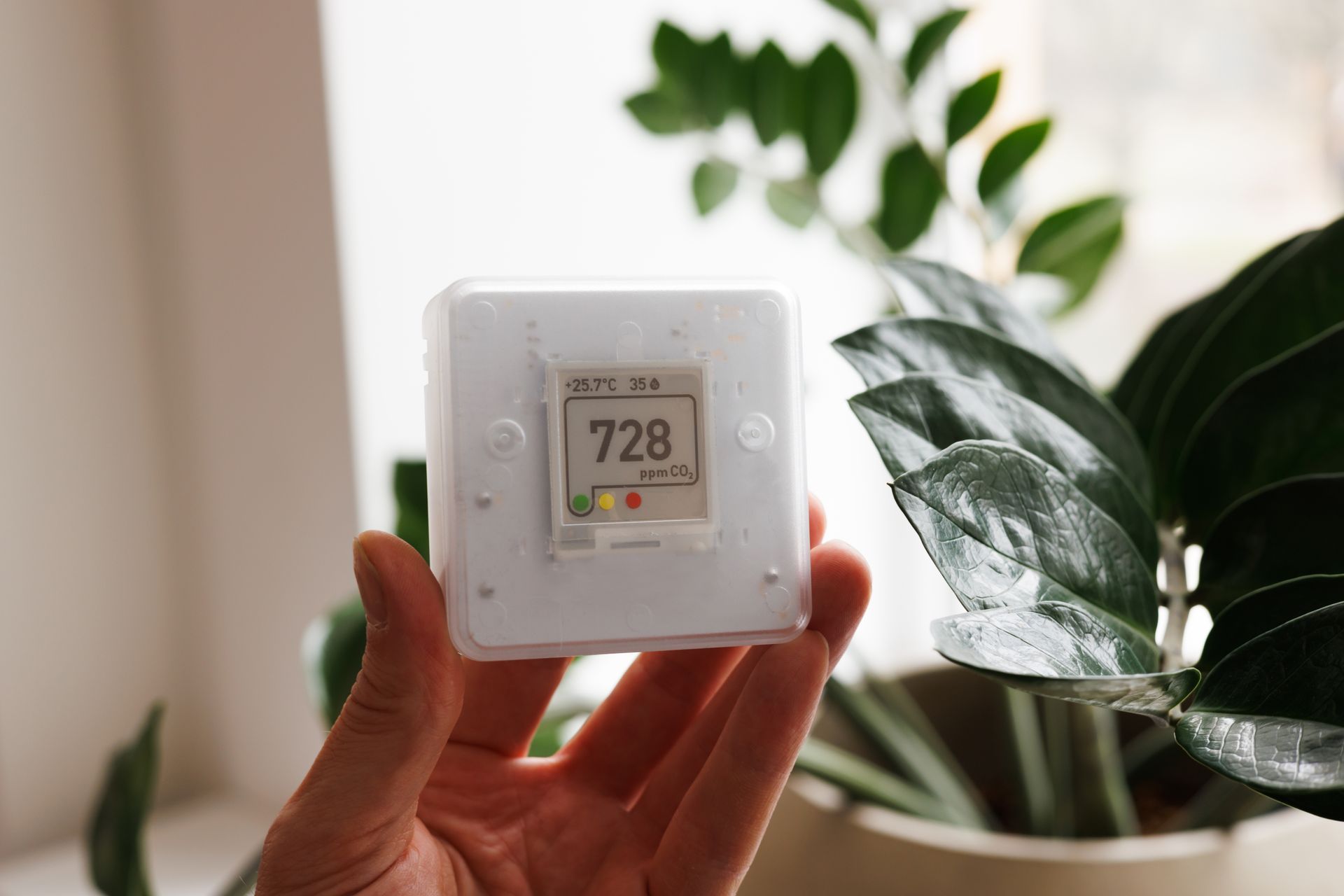 Hand holding a digital thermostat showing 72.8, beside a green houseplant near a window
