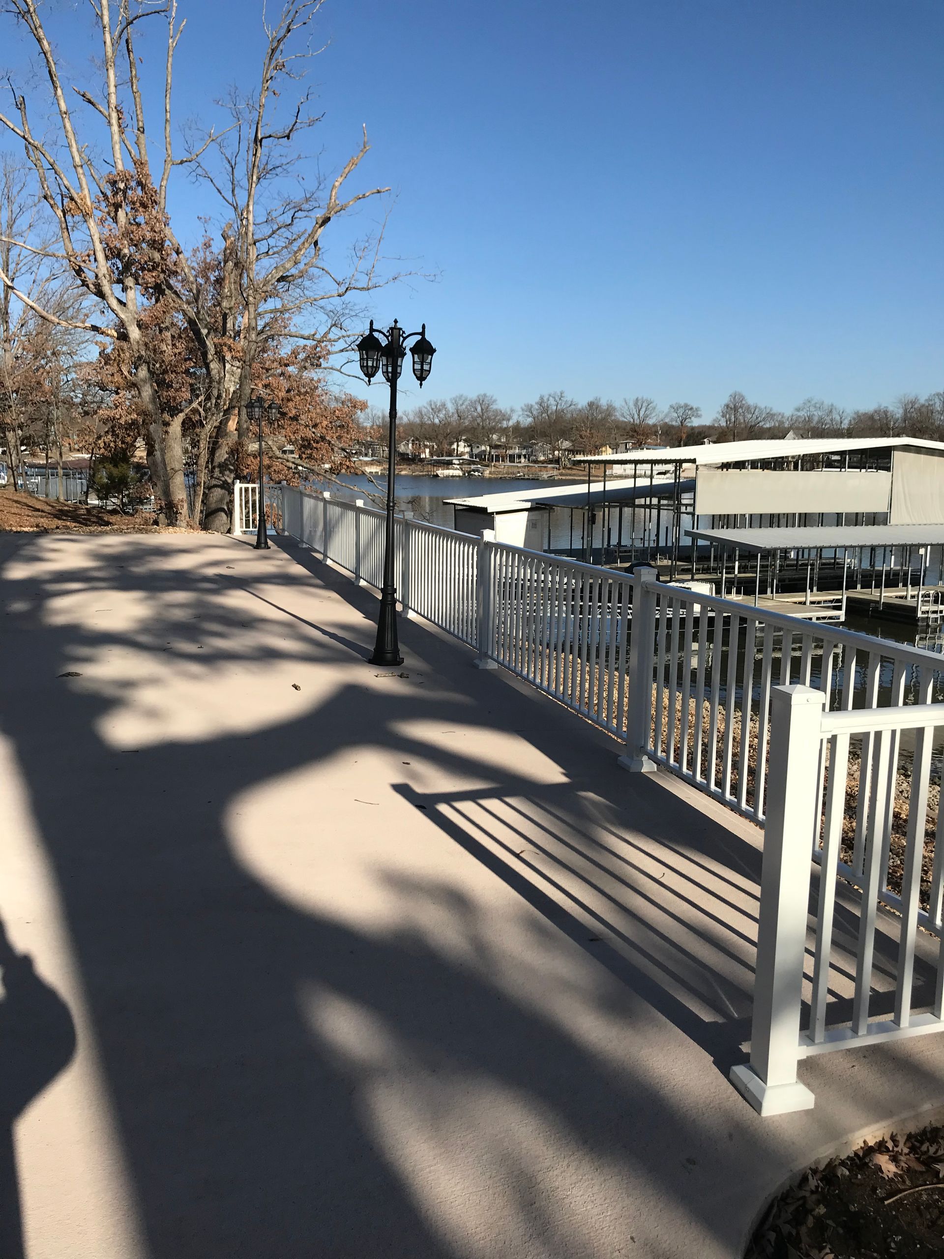 Sunlit walkway beside a metal railing, with bare trees and a blue sky overhead.