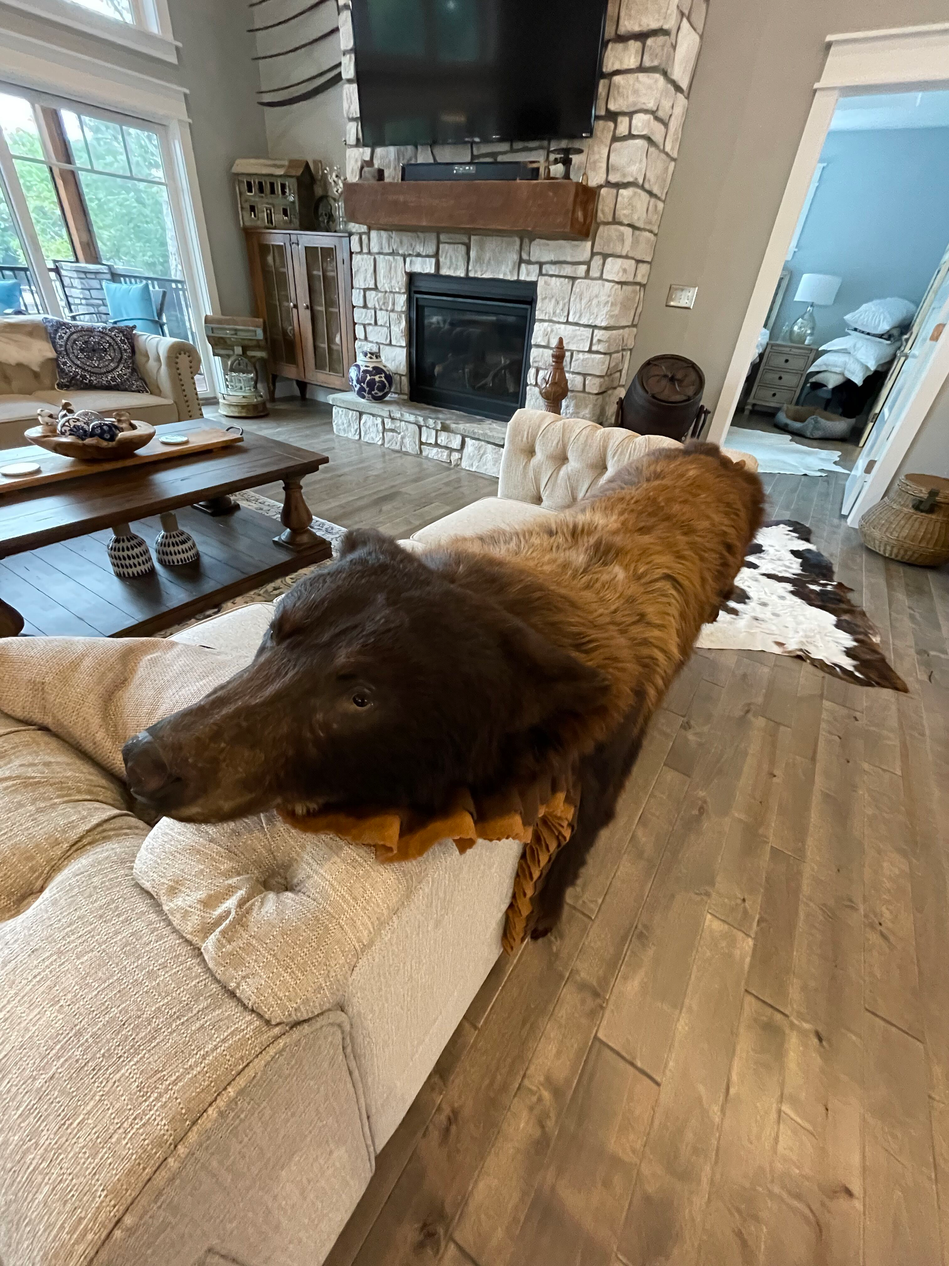 Large brown dog lounging on a cream sofa in a cozy living room with a stone fireplace and wood floor