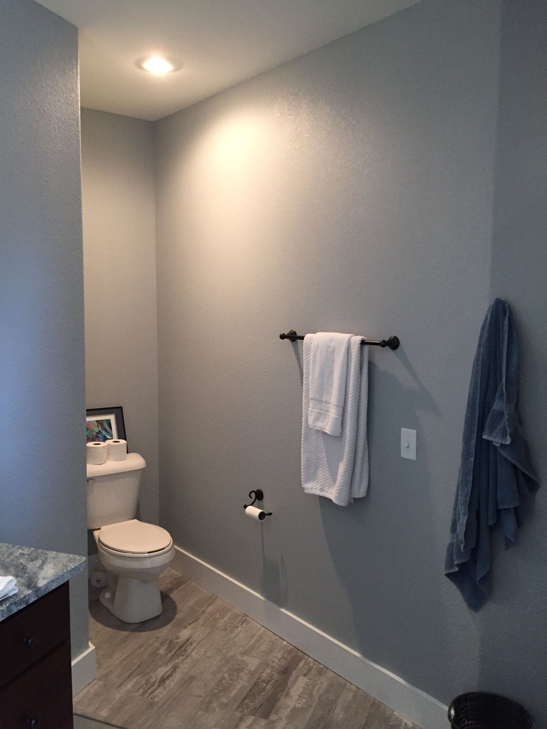 Small bathroom with gray walls, toilet, sink, towel rack, and wood-look floor.