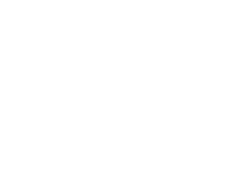 A white background with a few lines on it