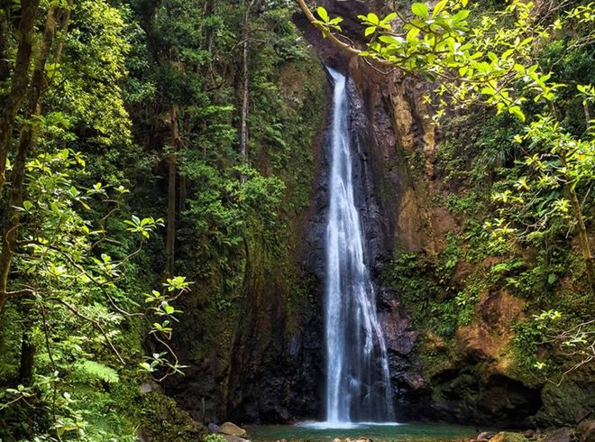 Waterfall cascading down a rock face surrounded by lush green foliage.