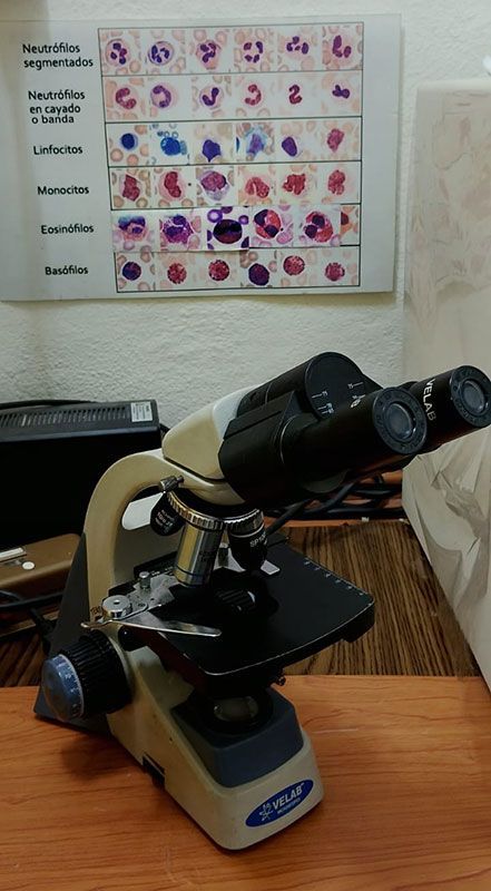 MIZPHA LABORATORIOS