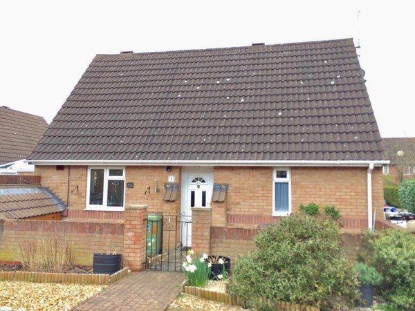 Roof Cleaning
