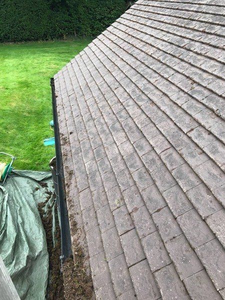 Roof Cleaning