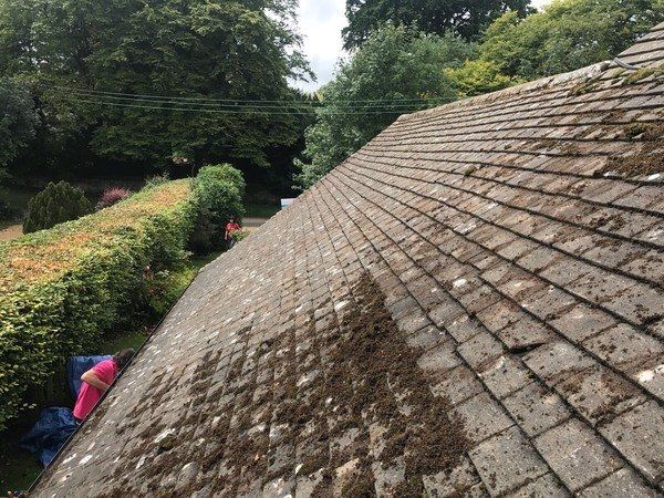 Roof Cleaning