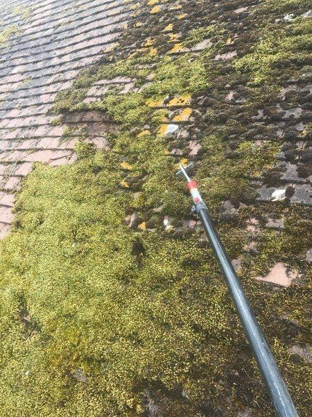 Roof Cleaning