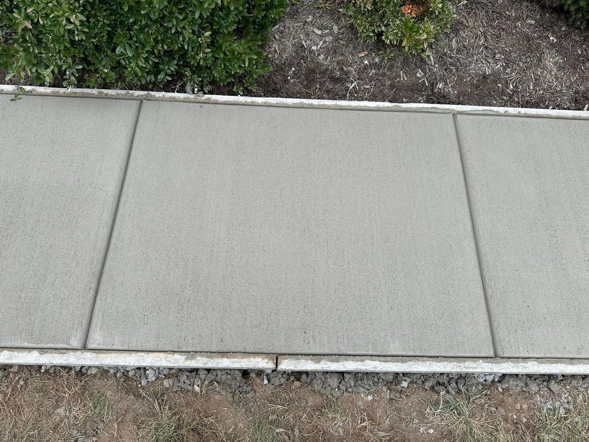 Concrete sidewalk slabs beside a garden bed with grass and flowers.
