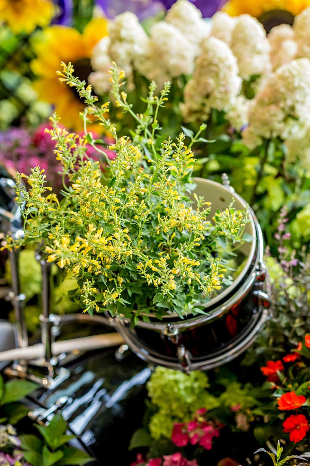 a drum with a plant in it is surrounded by flowers .