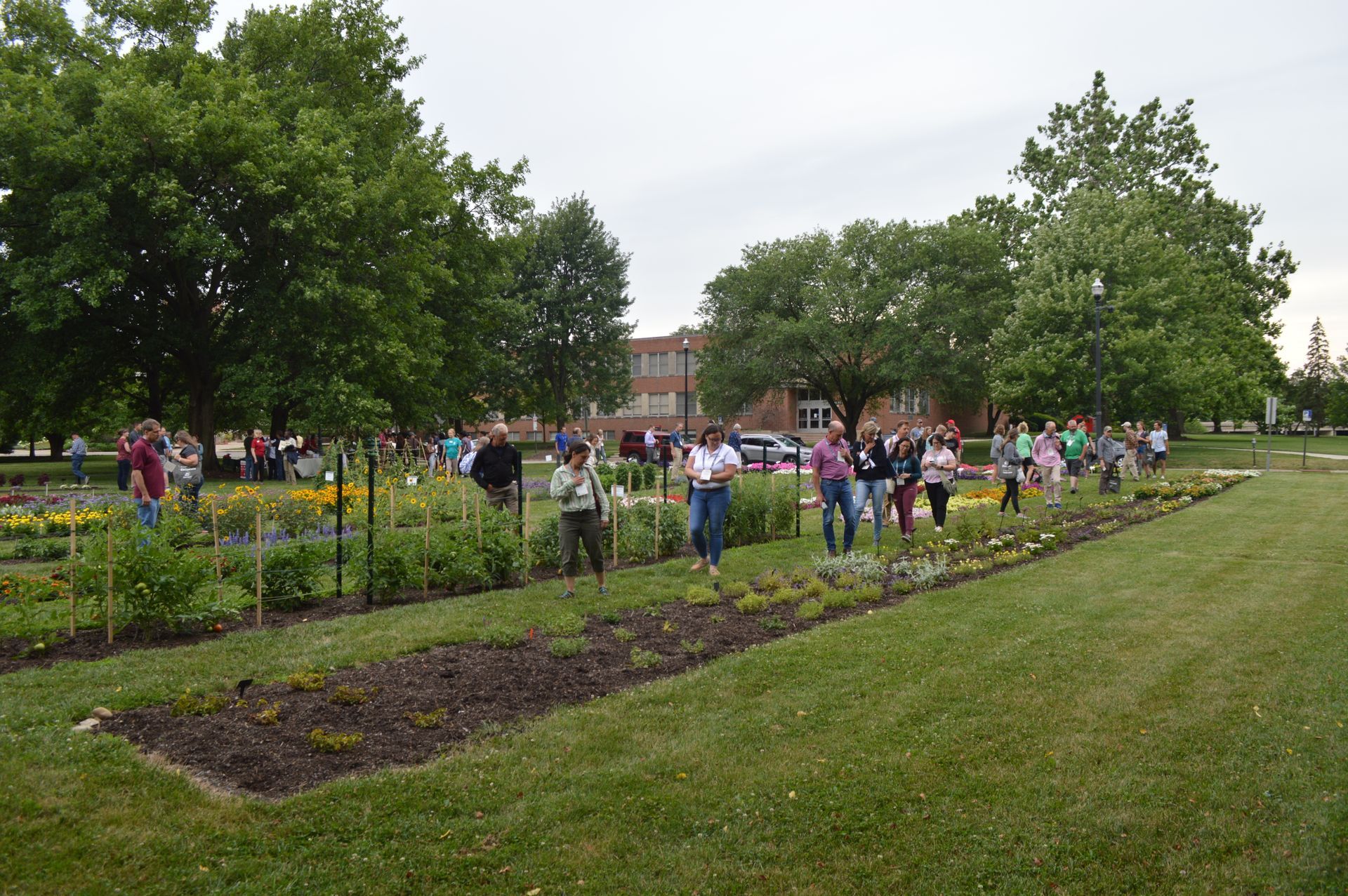 a group of people are standing in a park surrounded by trees .
