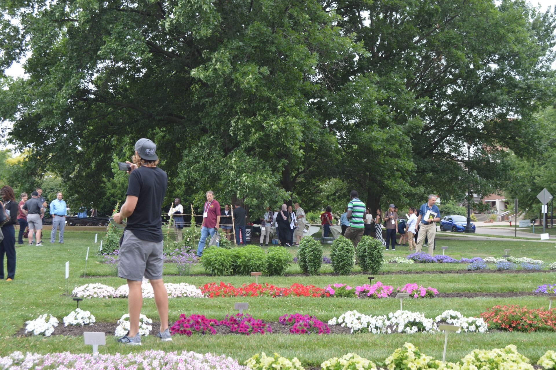 a man is standing in front of a row of flowers in a park .
