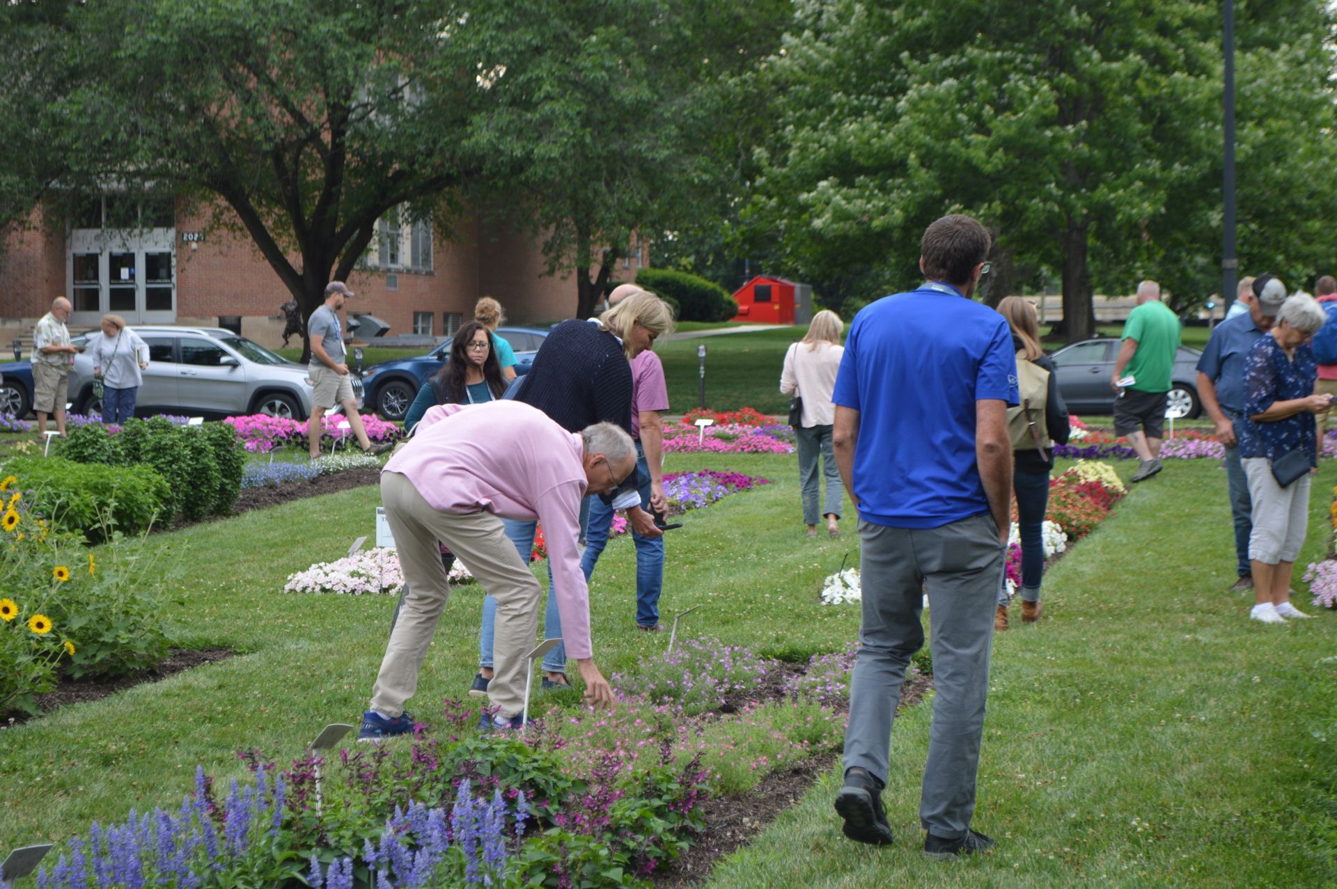 a group of people are standing in a park looking at flowers .