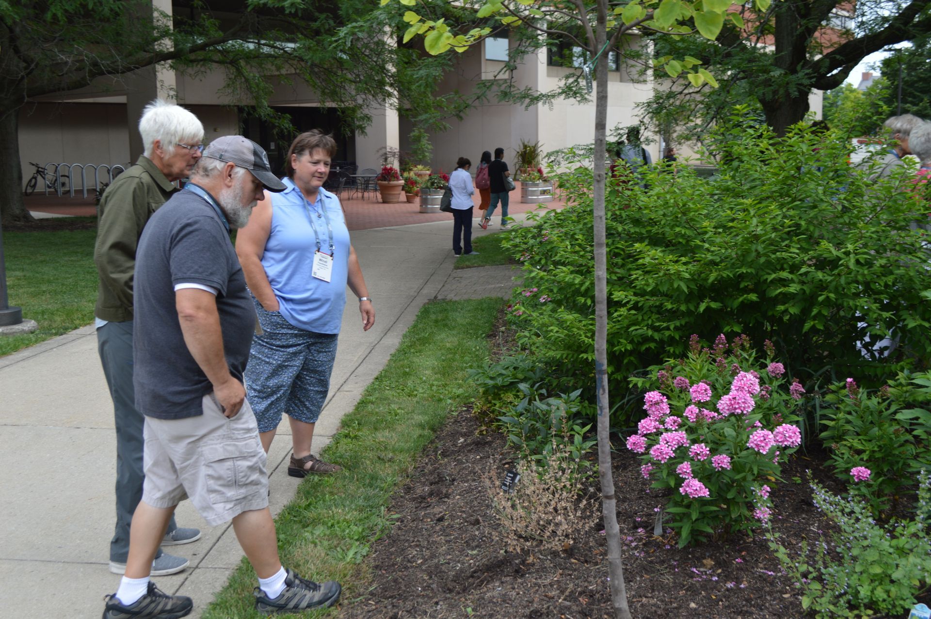 a group of people are standing on a sidewalk looking at flowers .