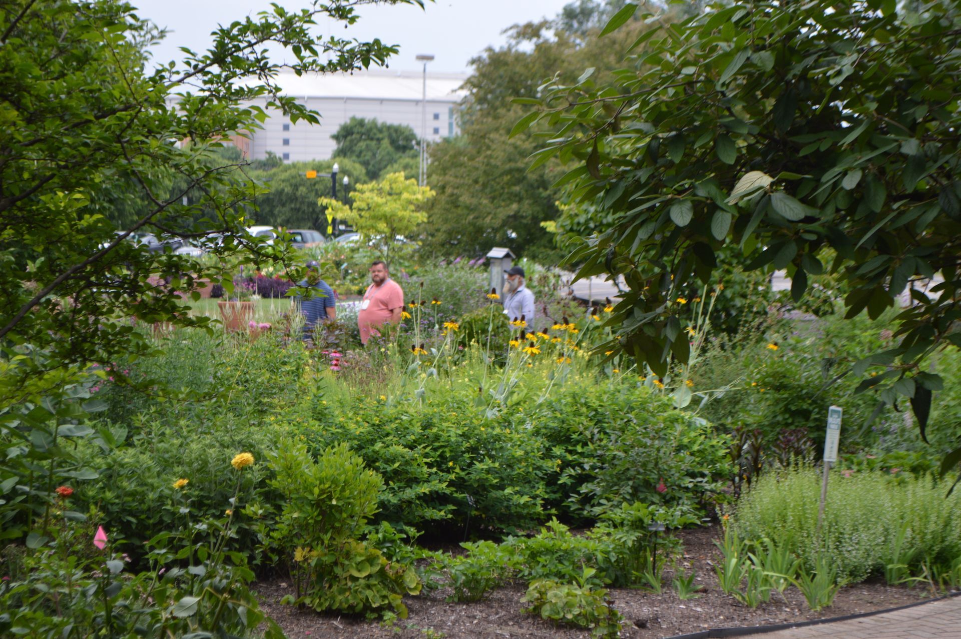 a group of people are standing in a garden surrounded by lots of plants .
