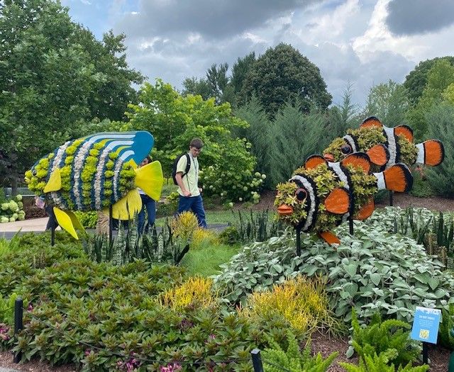 a man stands in front of a display of fish made of flowers