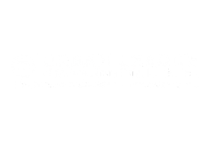 Mostly white blank image with faint gray specks and a thin black line near the bottom right