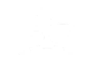 Nearly blank white image with faint gray marks in the center