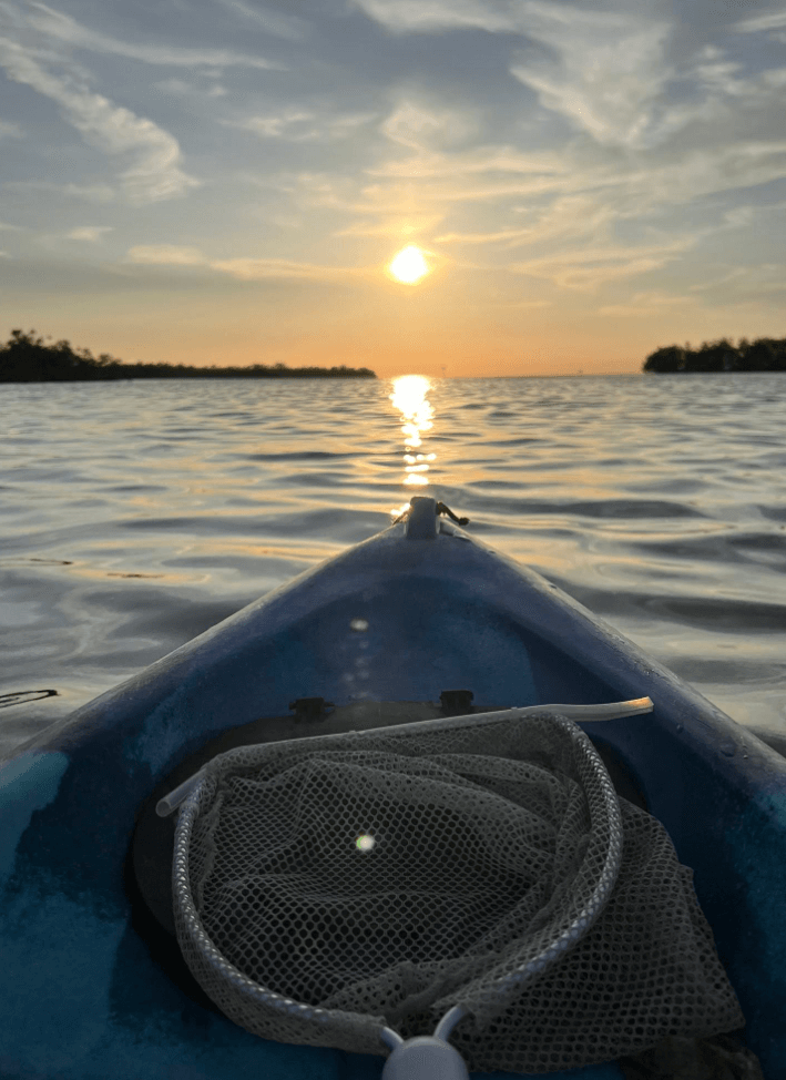 Kayak