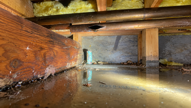 Crawlspace with wooden beams, insulation, and standing water reflecting the structure.