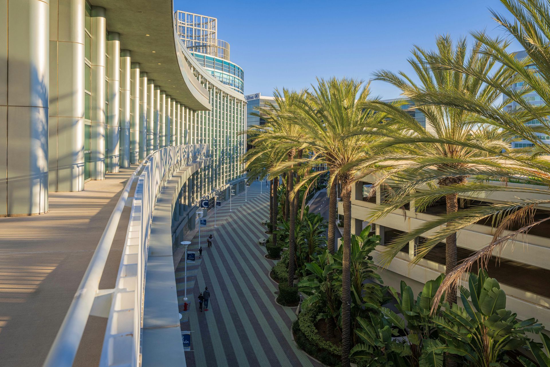 Curved seaside promenade beside a modern building, lined with palm trees in warm sunlight.