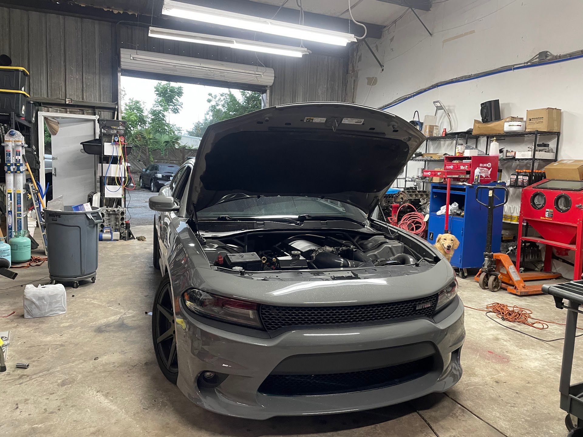 Gray Dodge Charger in a garage with hood open. A dog is visible. | YellowHammer Racing