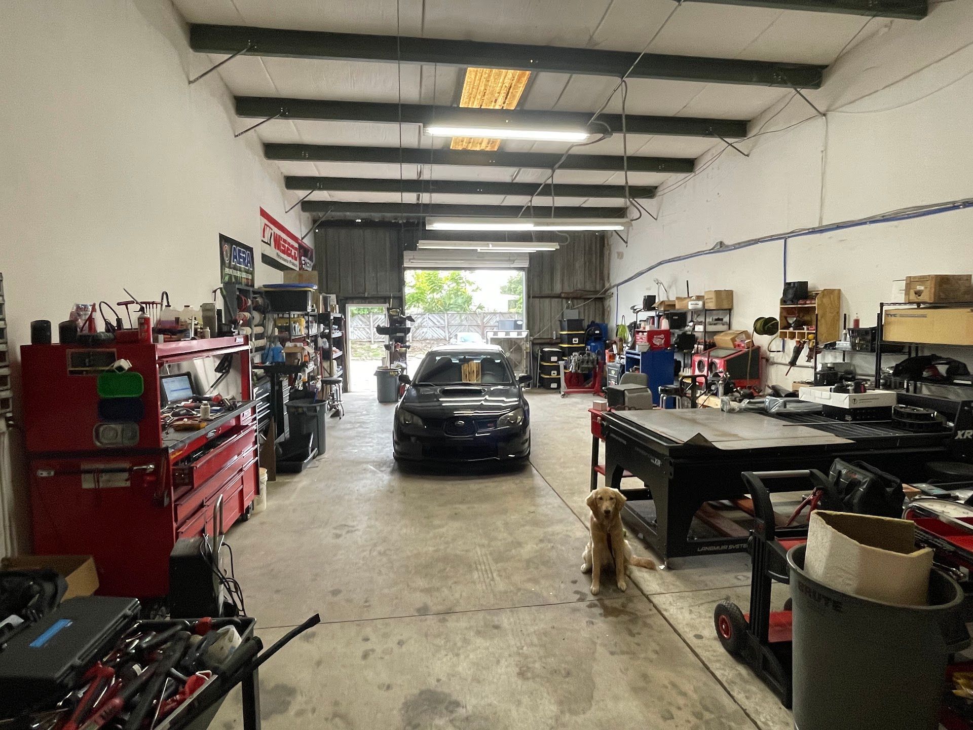 A car sits inside an auto repair shop. A dog sits near the open door. Tools, shelves, and workbenches are on both sides. | YellowHammer Racing