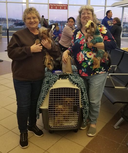 Two women holding small dogs beside a pet carrier in an airport waiting area
