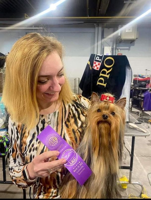 Woman holding purple ribbon beside a long-haired Yorkshire Terrier at a dog show.