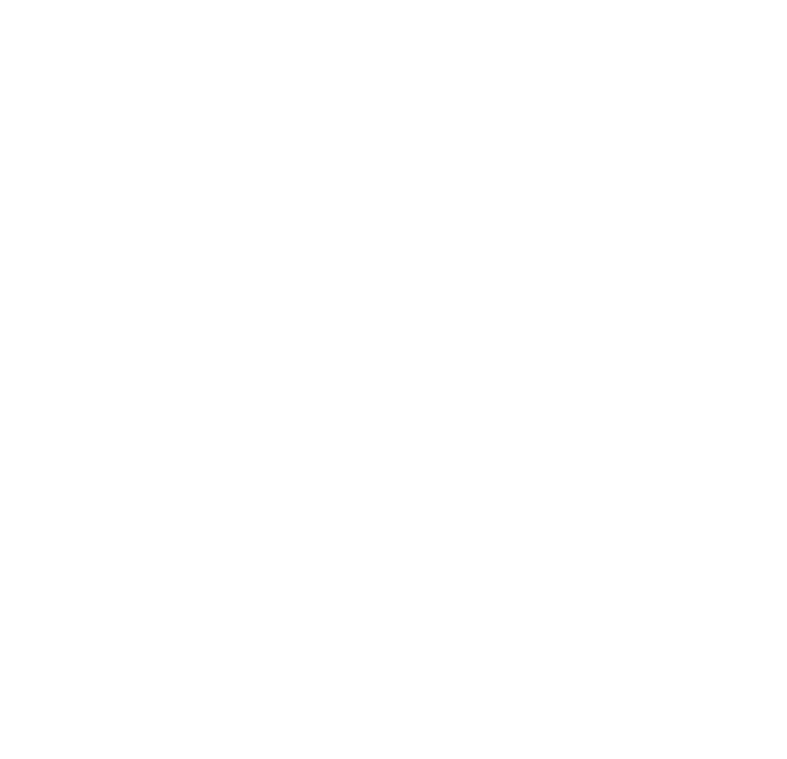 The Wynn Group logo