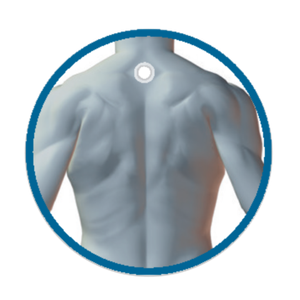 Gray 3D muscular upper back view inside a blue circle, with a small white marker at the neck.