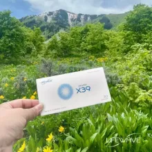Hand holding a white X39 box in a lush green mountain meadow under a cloudy sky.