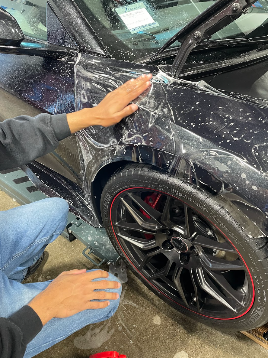 professional paint protection film installation