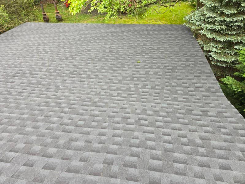 A roof with a pattern of squares on it is surrounded by trees.