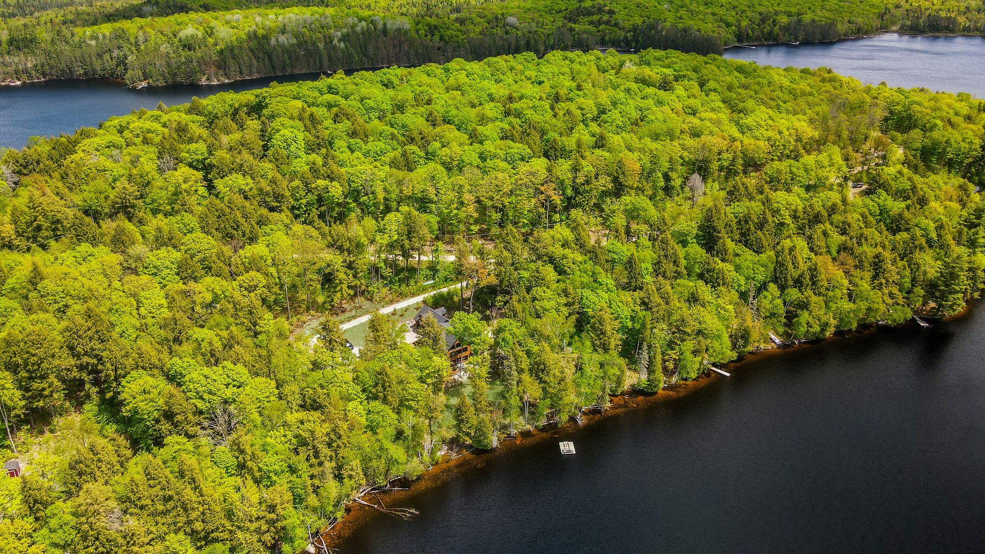 Aerial view of a green forested island beside dark water.