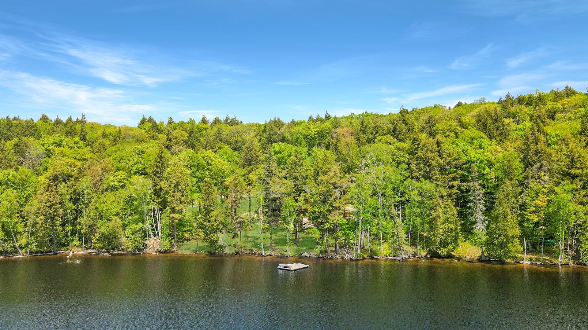 Calm lake with a dense green forest under a clear blue sky