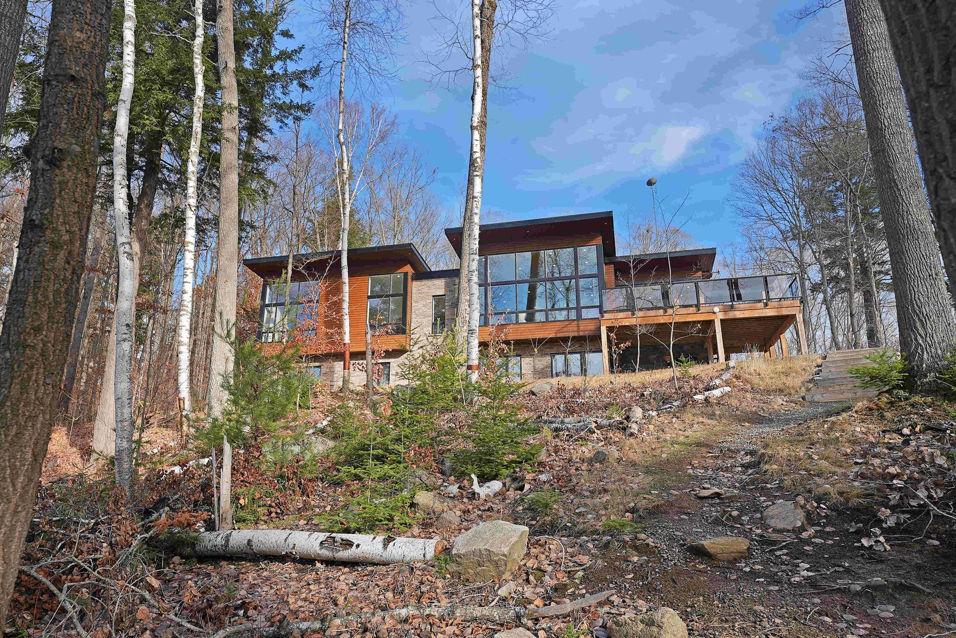 Modern cabin with large windows nestled among tall trees on a rocky wooded hillside