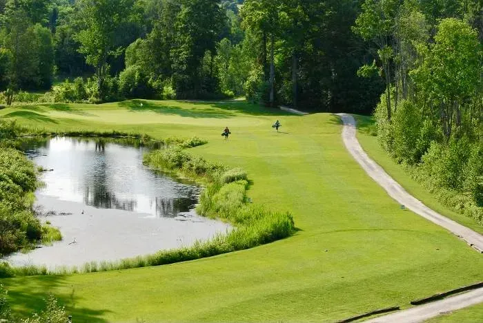 A golf course with a pond in the middle of it surrounded by trees.