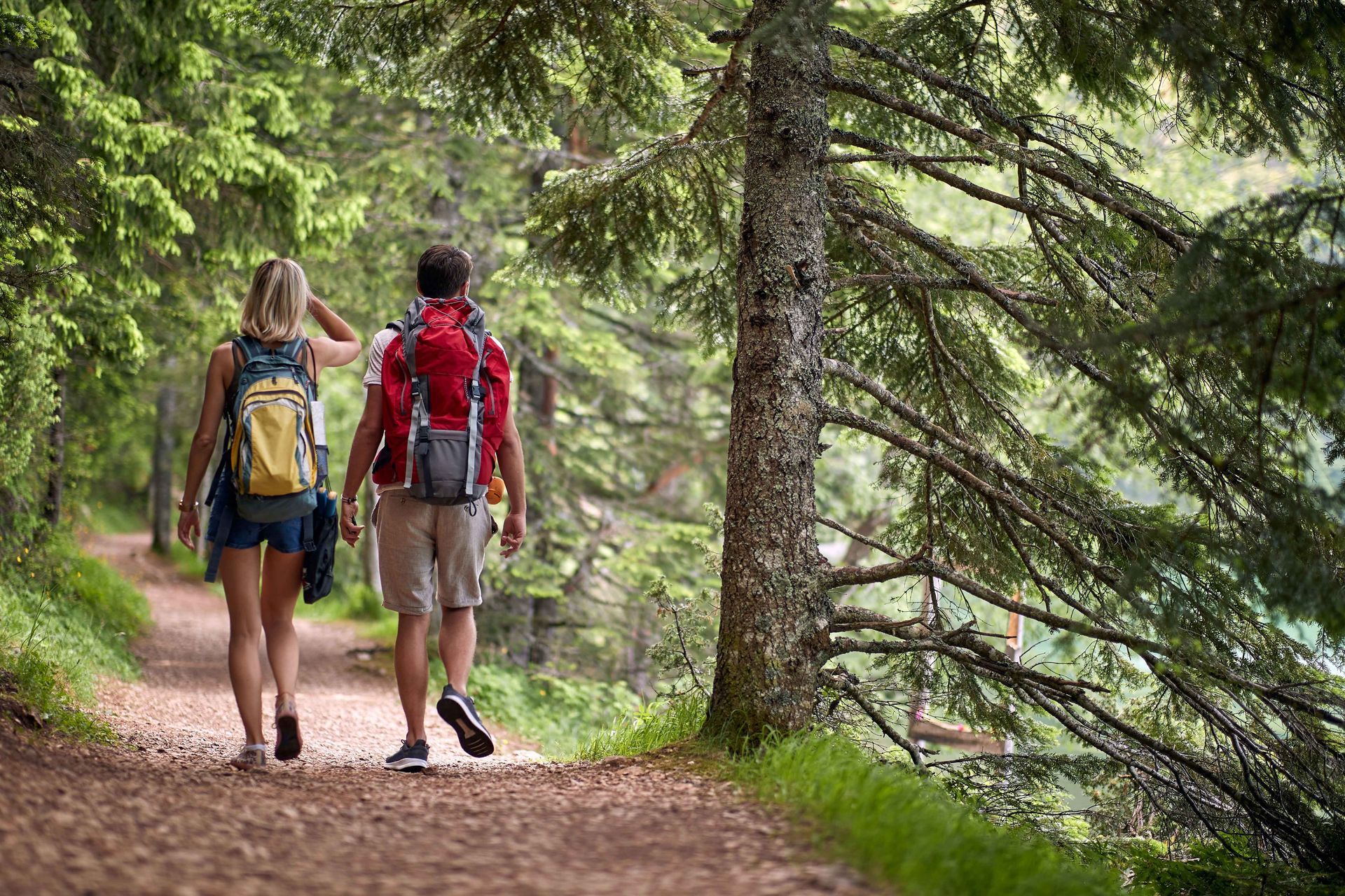 A man and a woman are walking down a path in the woods.