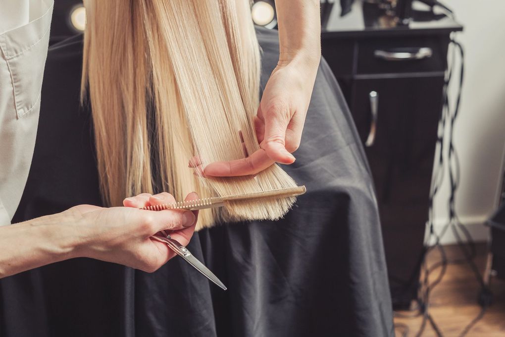Forbici professionali su ciocca di capelli castani, dettaglio servizio taglio