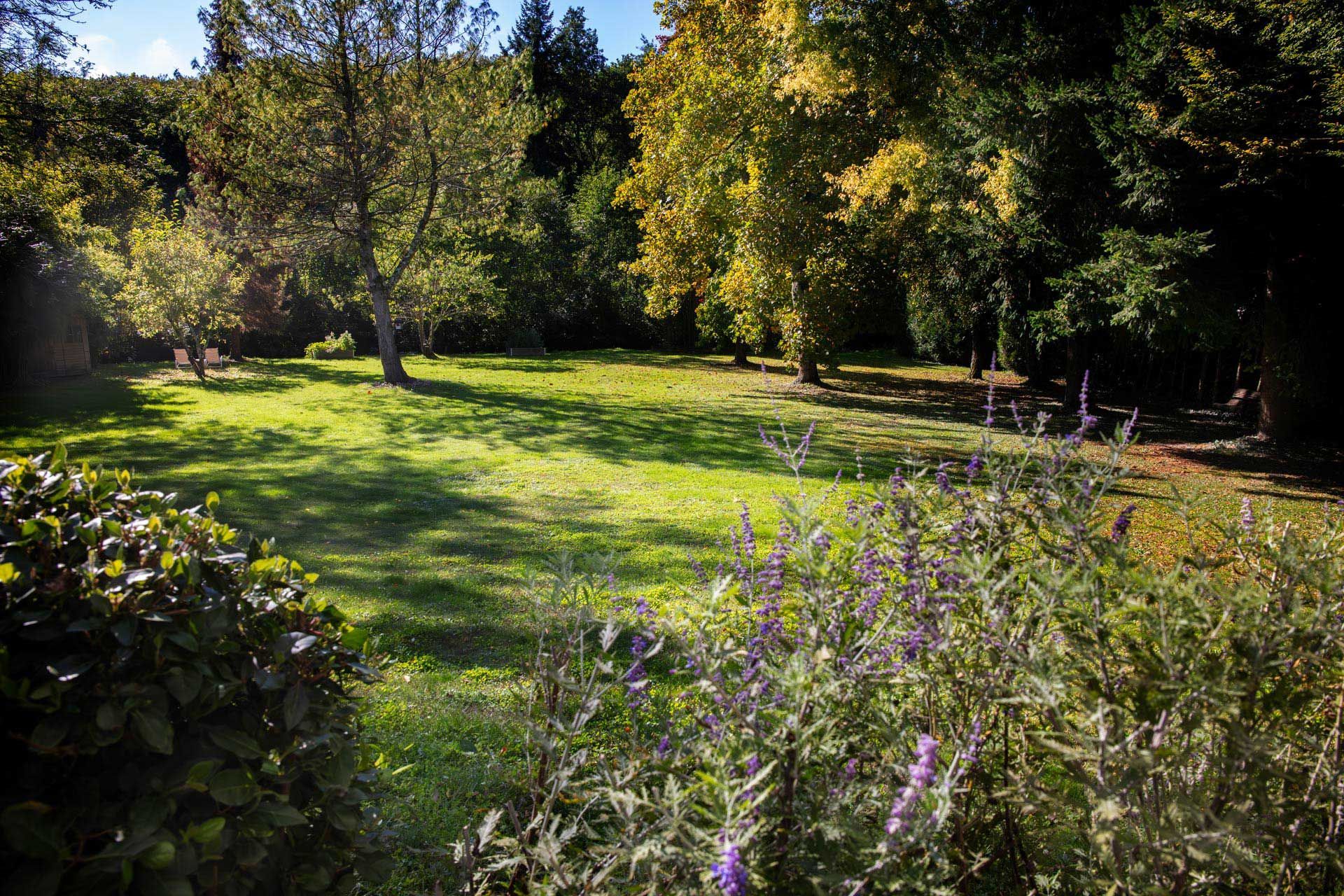 Jardin de l'hôtel restaurant SPA de l'Aubinière situé à Saint-Ouen-les-Vignes près d'Amboise