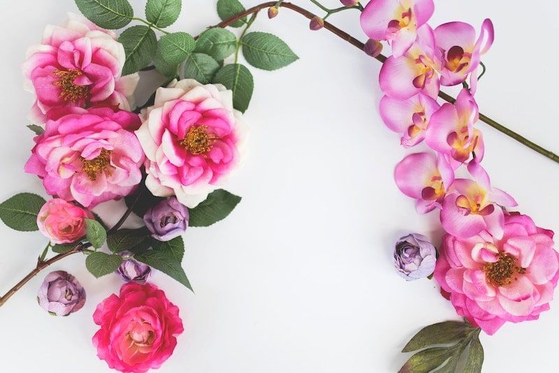 A bunch of pink flowers on a white background