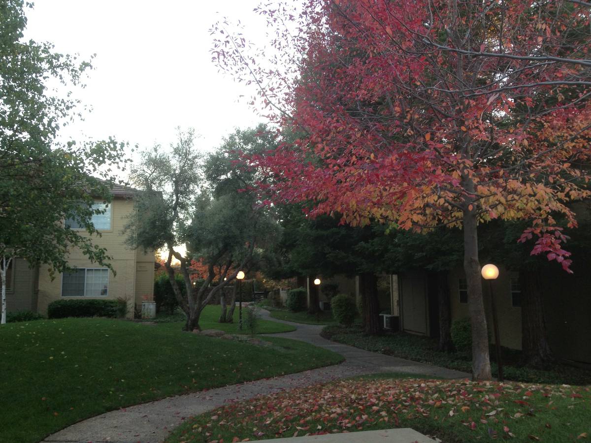 Cobble Creek