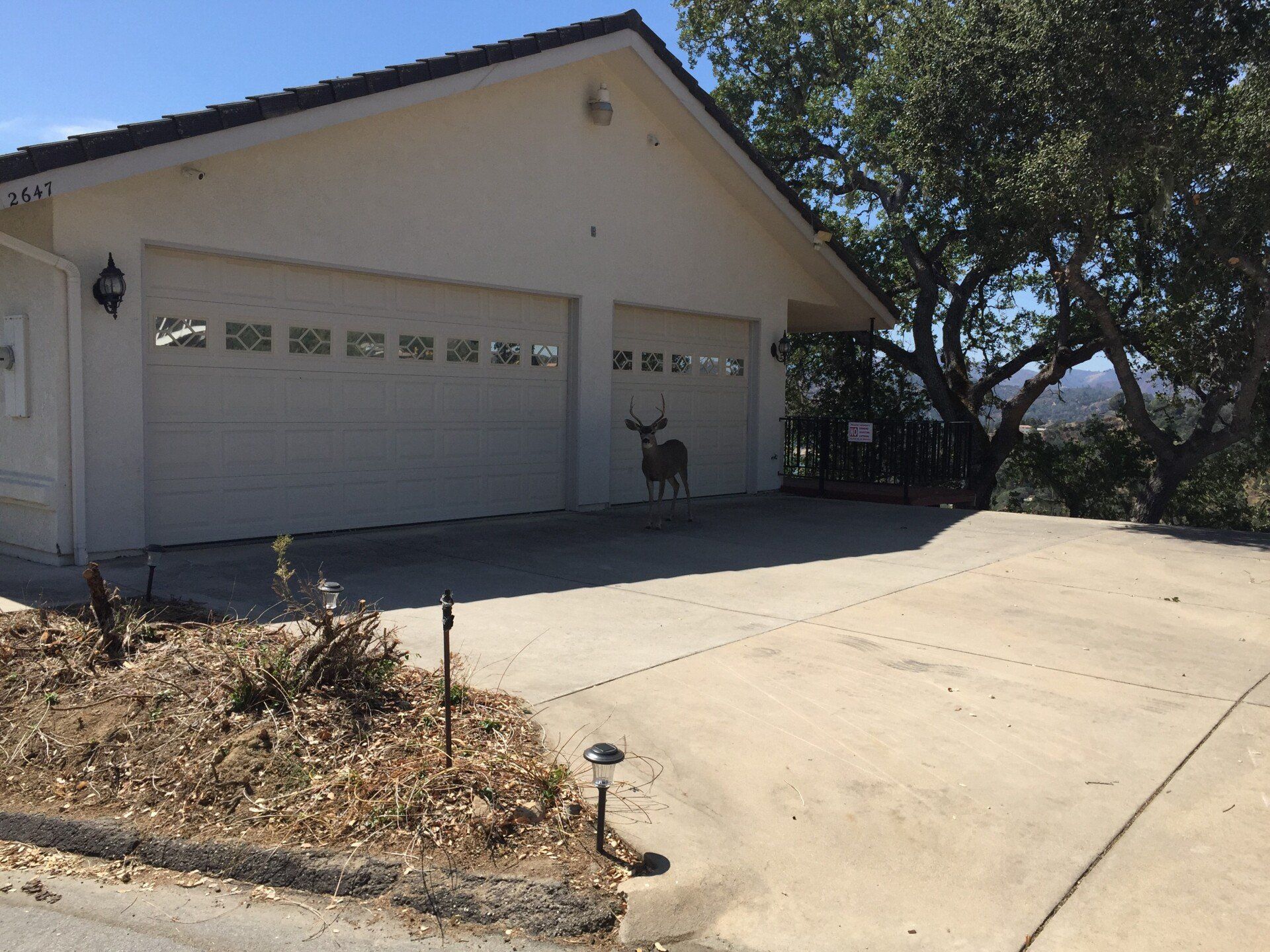 2647 Pine Ridge