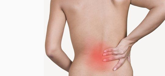 Rachide cervicale e lombare
