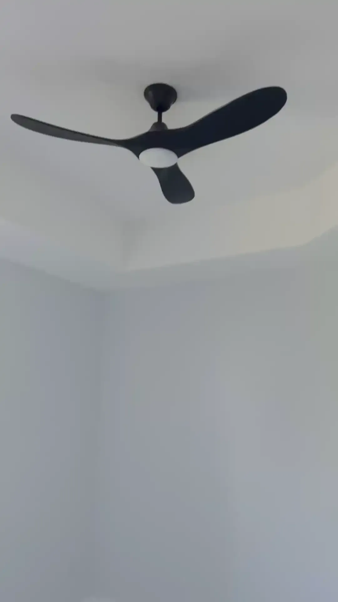 Black ceiling fan on a white ceiling in a plain room