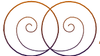 Twee spiegelende koperen spiralen die elkaar overlappen in een symmetrisch abstract ontwerp.